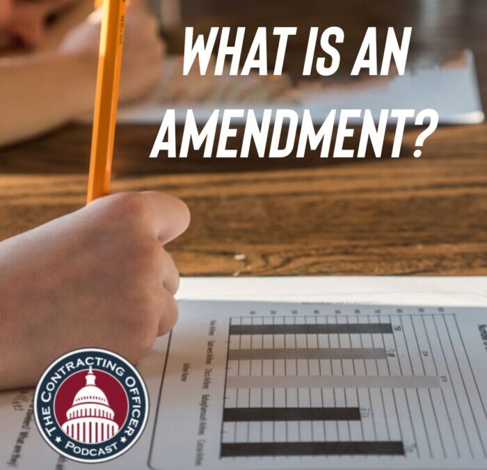 390 – What is an Amendment?