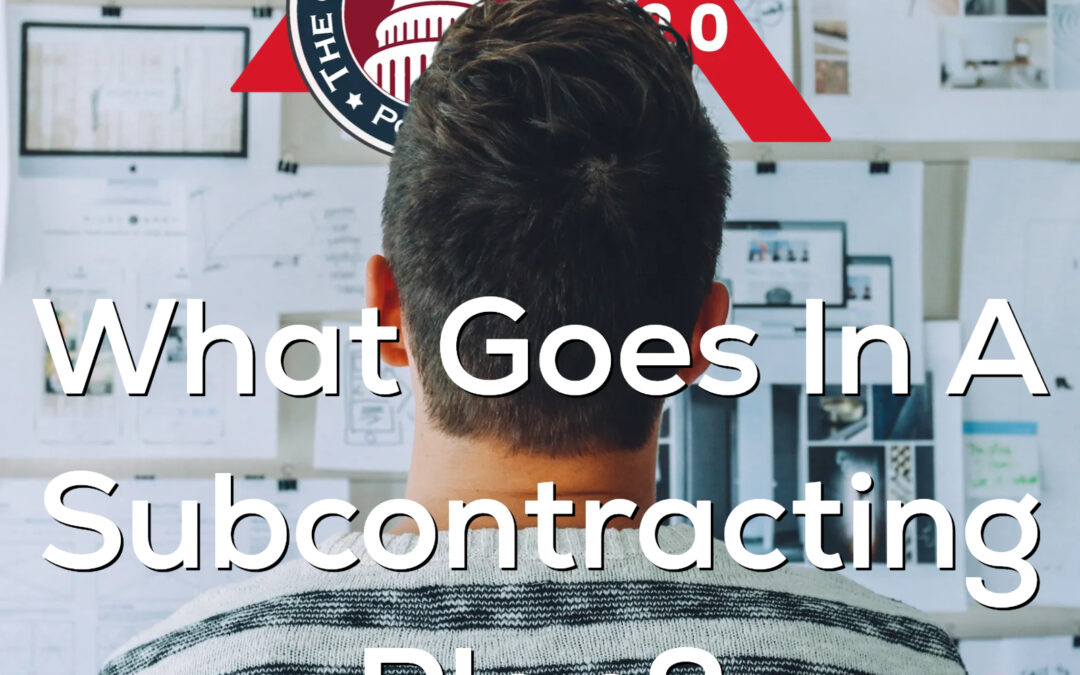 481 – What goes in a Subcontracting Plan?