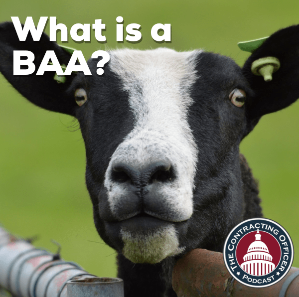 311 – What is a BAA?