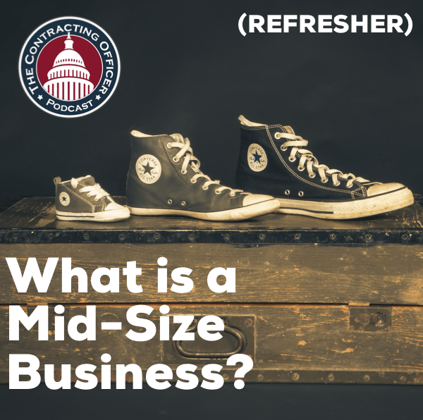 323 – What is a Mid-Size Business? (REFRESHER)