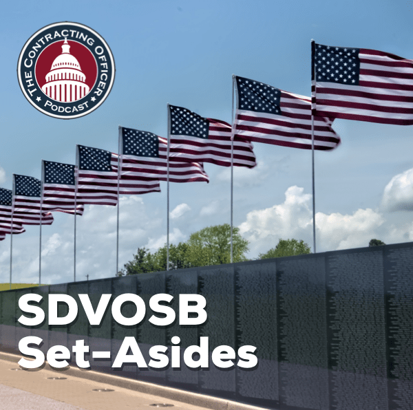 310 – SDVOSB Set-Asides