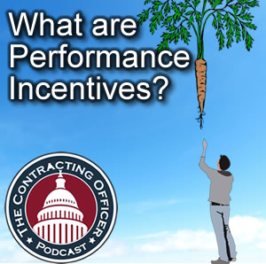 104 What are Performance Incentives?