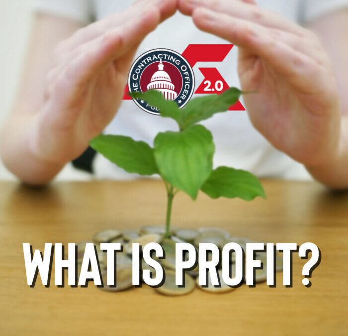 494 – What is Profit?