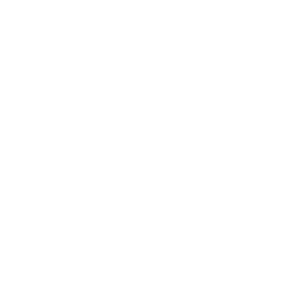 linkedin icon